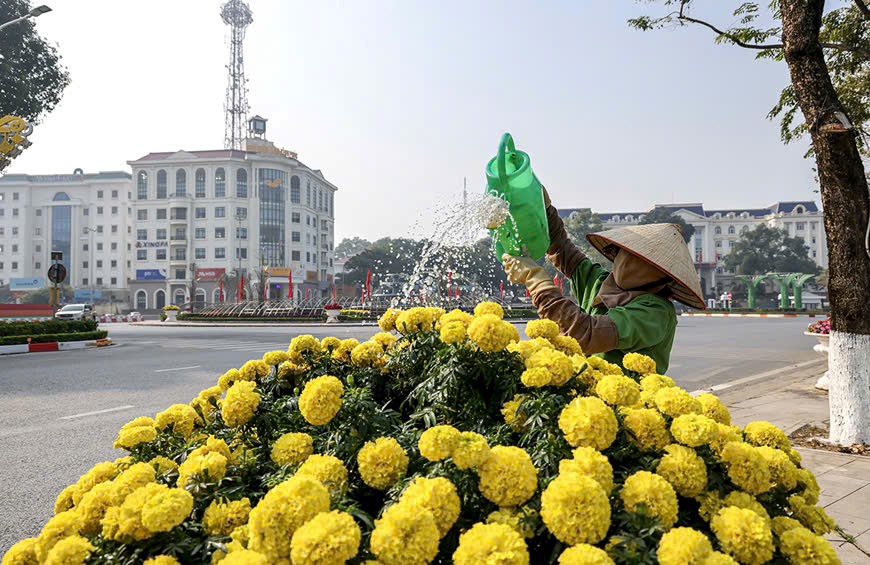 Vĩnh Phúc: Rực rỡ sắc xuân trên mọi nẻo đường