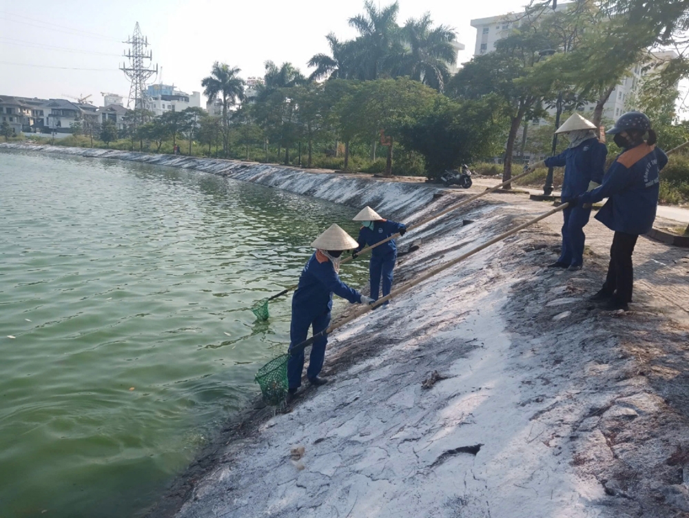 Công ty TNHH MTV Thoát nước Hải Phòng: Đảm bảo công tác thoát nước dịp Tết Nguyên đán Ất Tỵ 2025