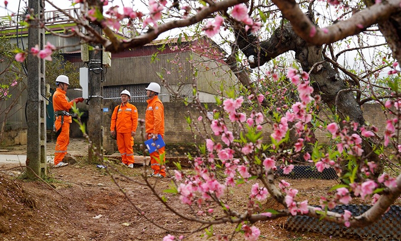 Ngành Điện: Cung cấp điện đảm bảo, an toàn trong kỳ nghỉ Tết Nguyên đán Ất Tỵ 2025