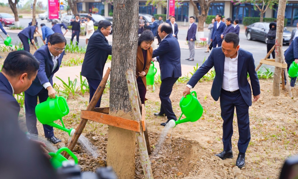 Viglacera khai xuân và Tết trồng cây 2025