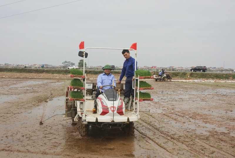 Lãnh đạo tỉnh Vĩnh Phúc xuống đồng, động viên nông dân sản xuất đầu Xuân