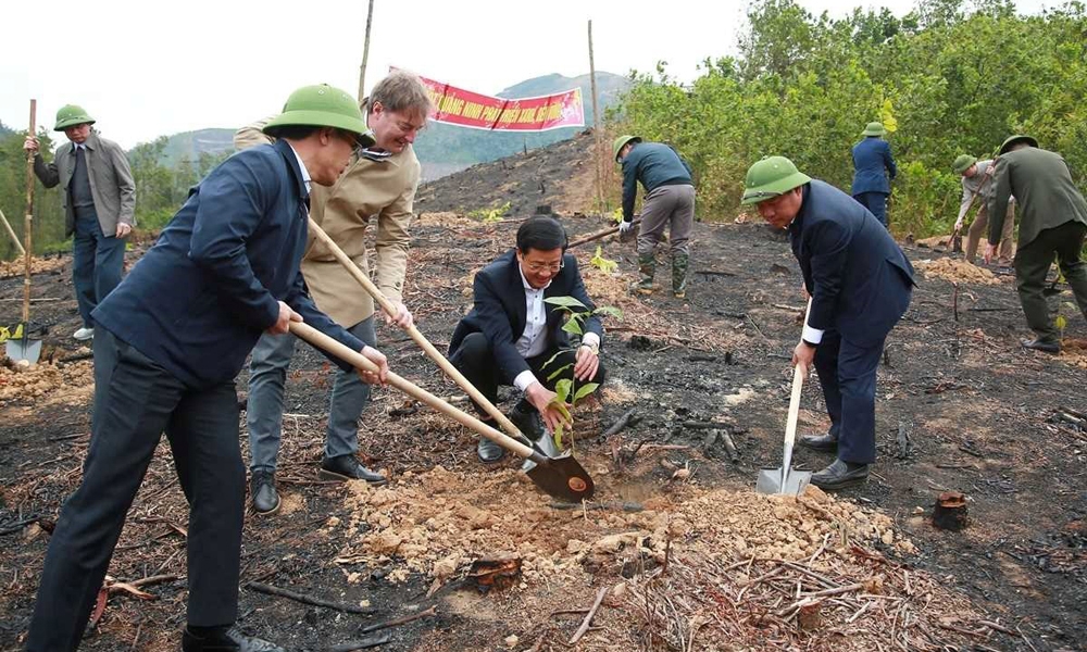 Quảng Ninh: Ra quân “Tết trồng cây đời đời nhớ ơn Bác Hồ”