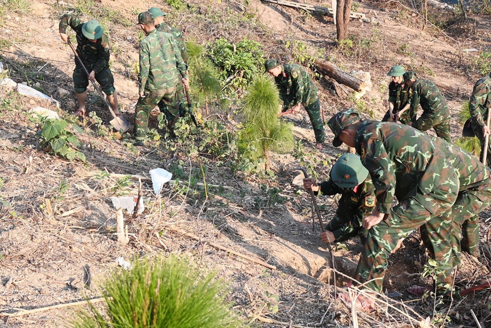 Quảng Ninh: Ra quân “Tết trồng cây đời đời nhớ ơn Bác Hồ”