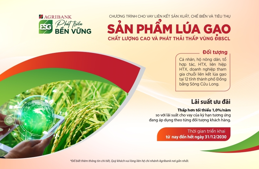 Agribank triển khai cho vay liên kết sản xuất, chế biến và tiêu thụ sản phẩm lúa gạo chất lượng cao và phát thải thấp vùng ĐBSCL