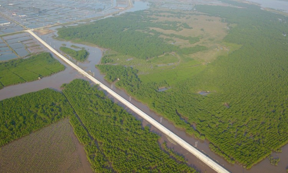 Ninh Bình: Chuyển gần 170ha đất rừng để thực hiện công trình, dự án năm 2025