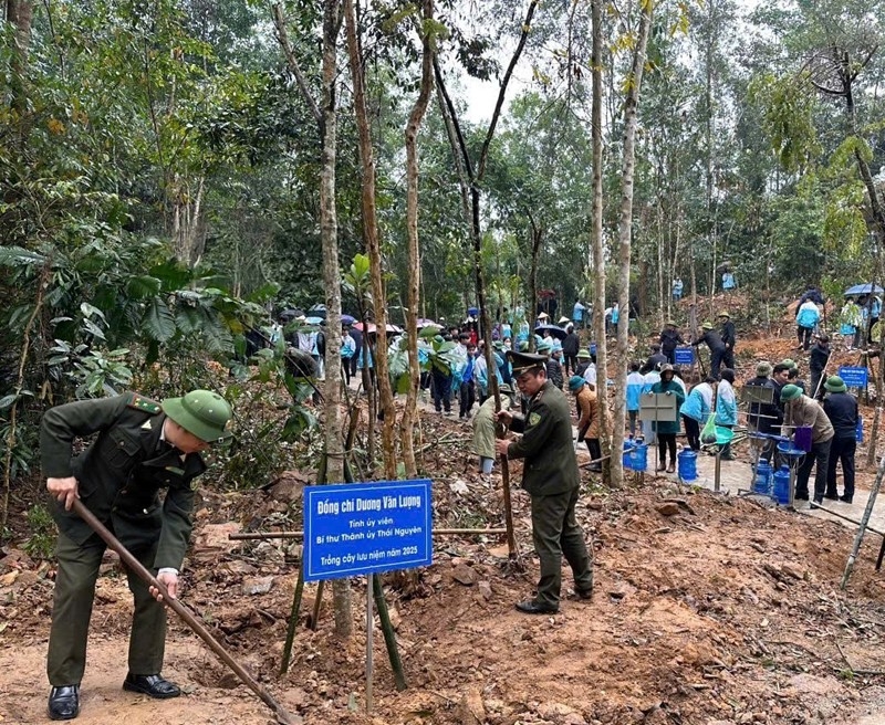 Thái Nguyên: Phát động Tết trồng cây “Đời đời nhớ ơn Bác Hồ”