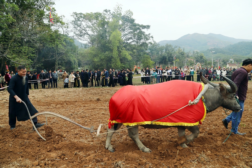 Du xuân khám phá văn hóa dân tộc ở Tiên Yên