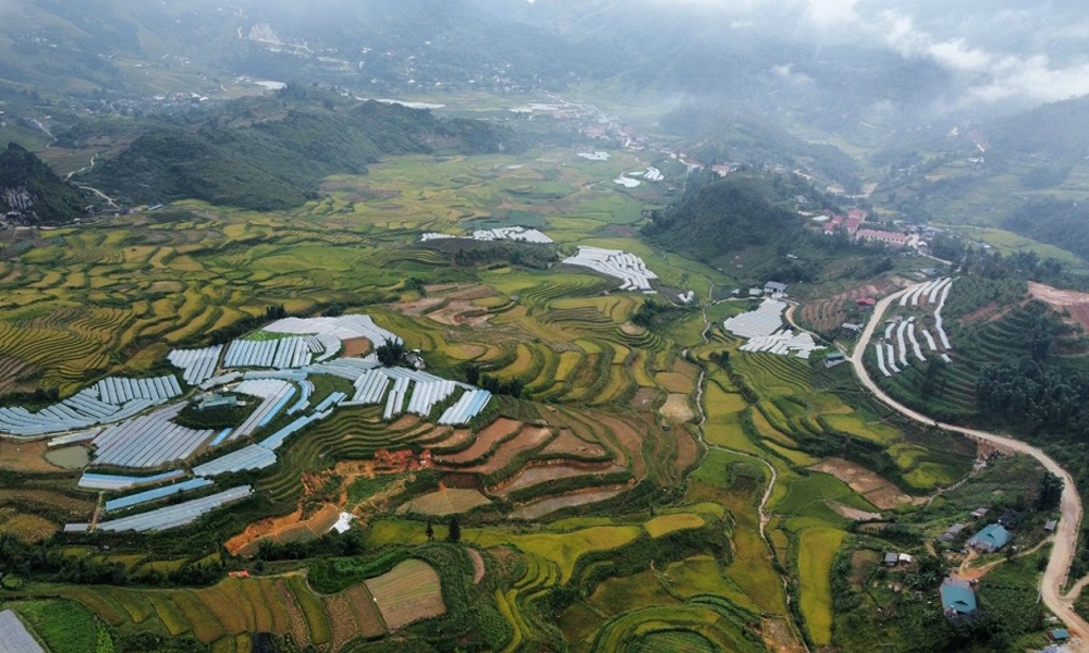 Lào Cai chỉ đạo tập trung thực hiện một số nội dung trọng tâm về lĩnh vực đất đai