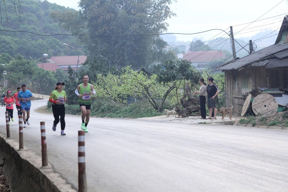 Yên Châu (Sơn La): Sôi nổi giải chạy việt dã “Vườn xuân biên cương” năm 2025