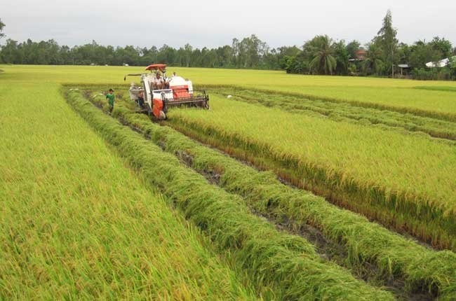 Phát triển Đồng bằng sông Cửu Long thành trung tâm kinh tế nông nghiệp bền vững, năng động, hiệu quả cao