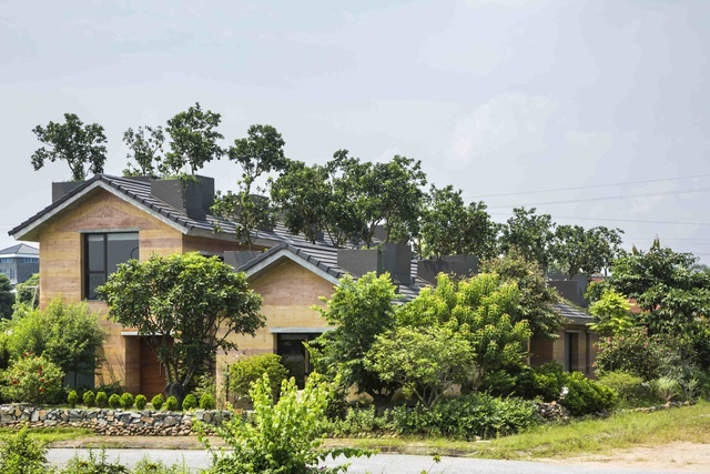 5651 image002 - Biệt thự ở Hà Nội gây ngỡ ngàng khi trồng cả vườn cây ăn quả trên mái nhà