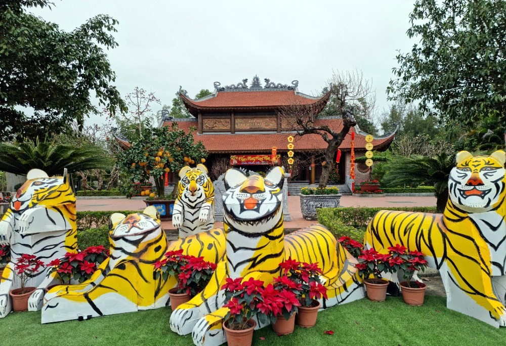 tien sy vu phi ho tuong tho dat vang dau tien o quang ninh