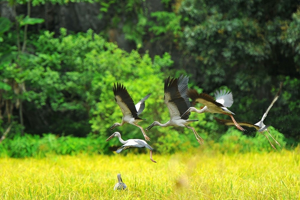 kham pha ninh binh vung dat hap dan khach du lich