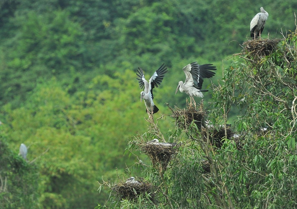 kham pha ninh binh vung dat hap dan khach du lich