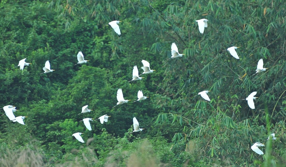 kham pha ninh binh vung dat hap dan khach du lich