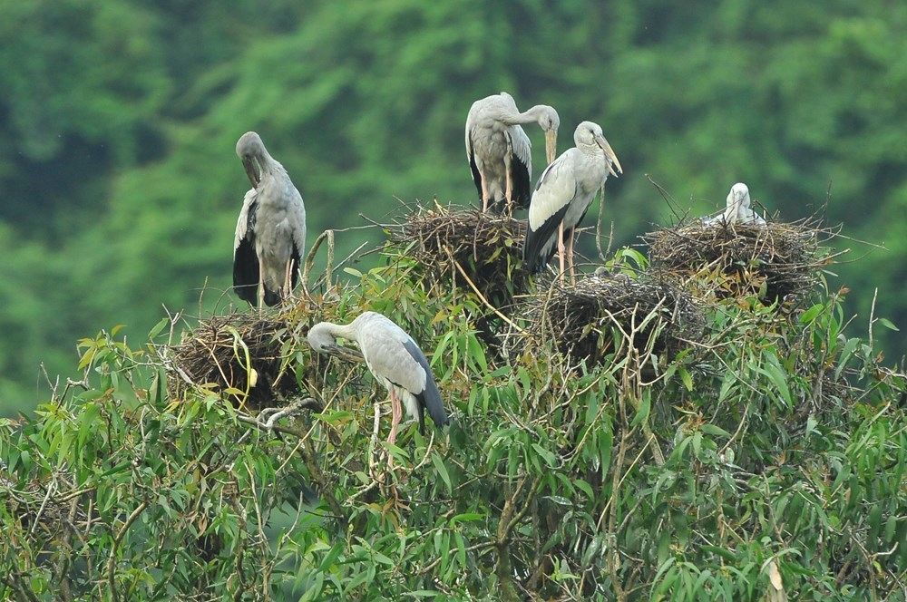 kham pha ninh binh vung dat hap dan khach du lich