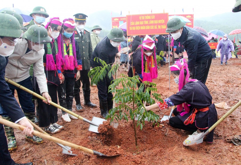 Quảng Ninh: Phát động Tết trồng cây đời đời nhớ ơn Bác Hồ