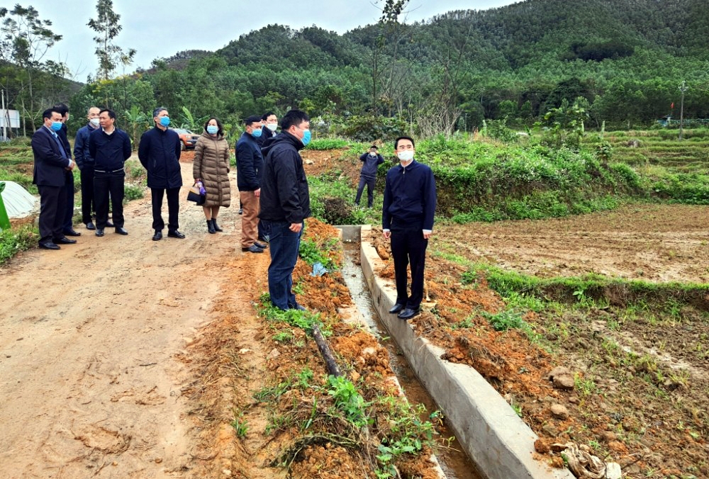 Quảng Ninh: 100% xã vùng rừng Hoành Bồ của thành phố Hạ Long đạt nông thôn mới năm 2022