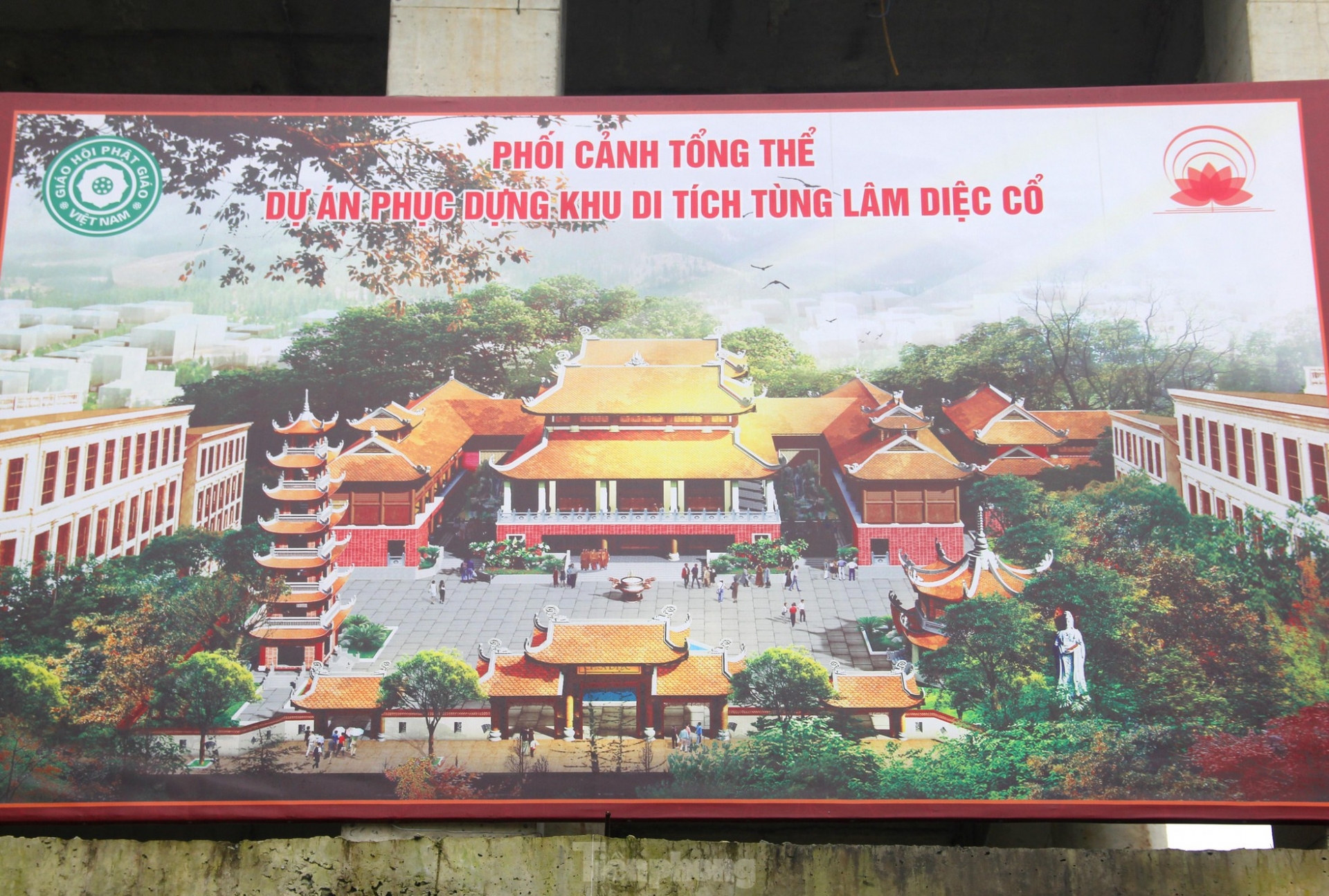 can canh ngoi co tu giua long thanh vinh