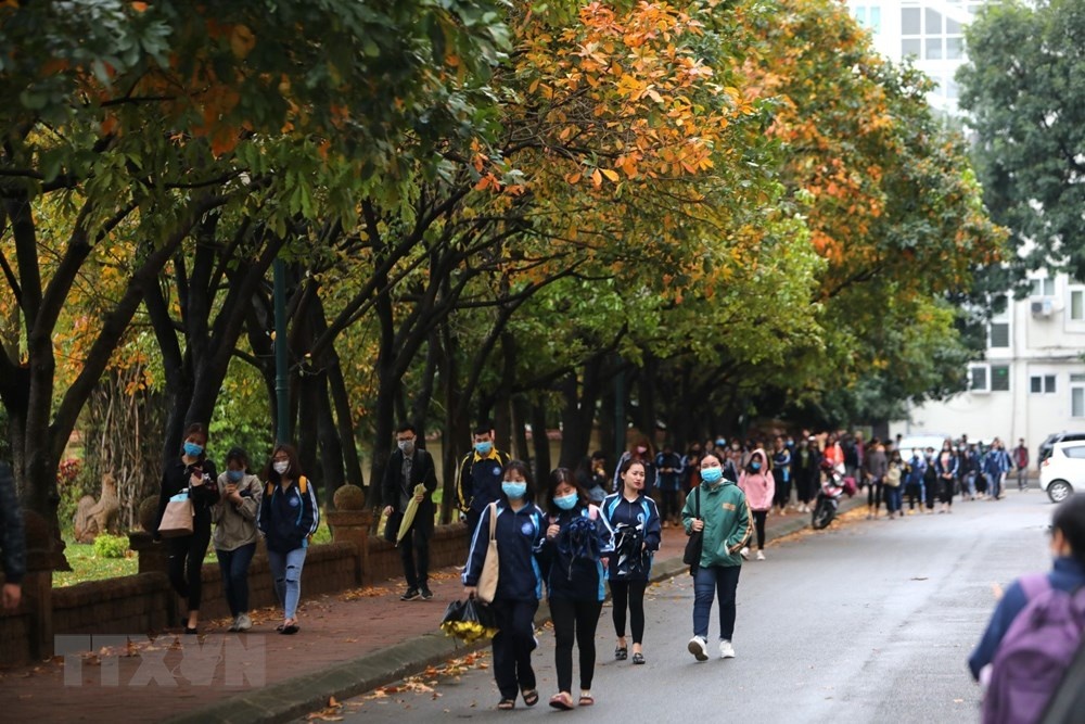 con duong la vang dep ngat ngay tai dai hoc su pham ha noi