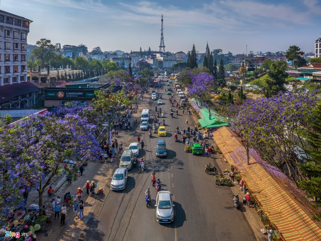 da lat mua phuong tim