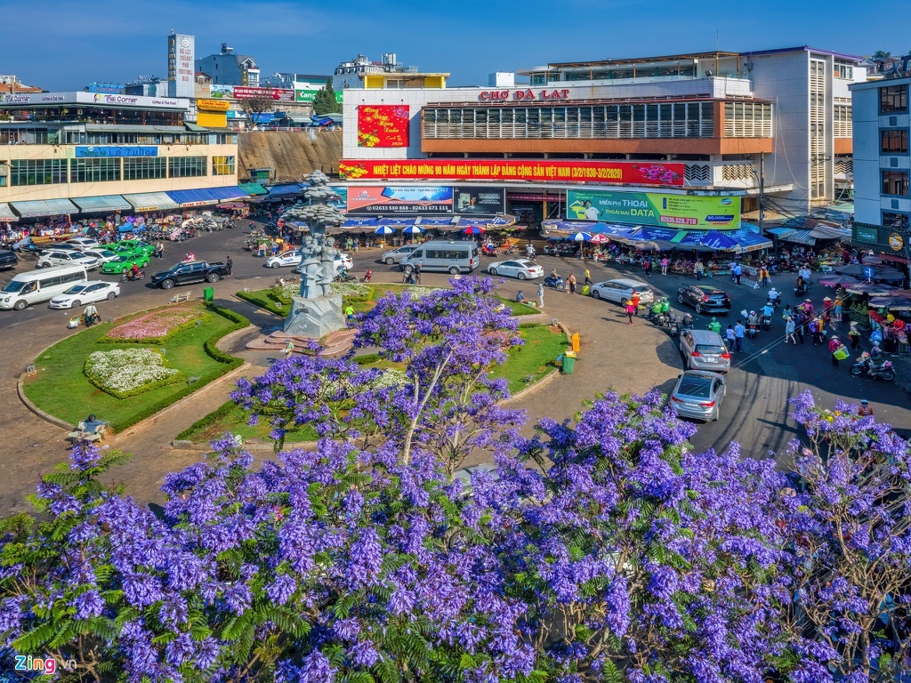 da lat mua phuong tim