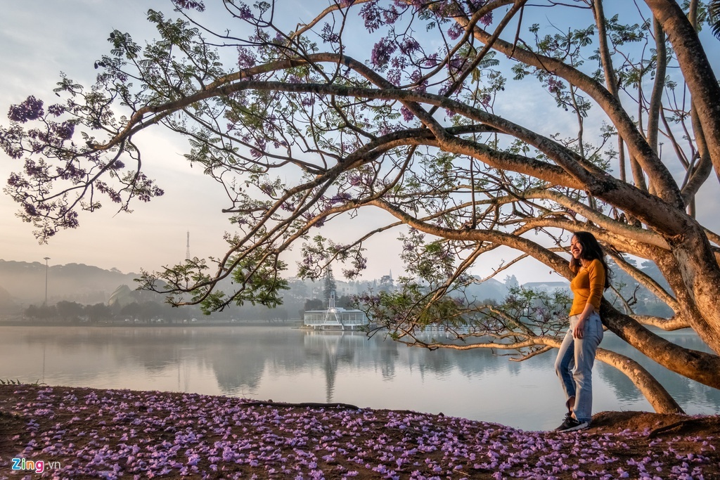 da lat mua phuong tim