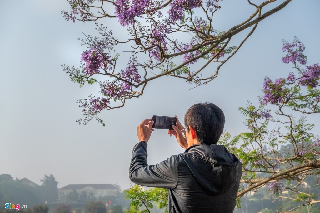 da lat mua phuong tim