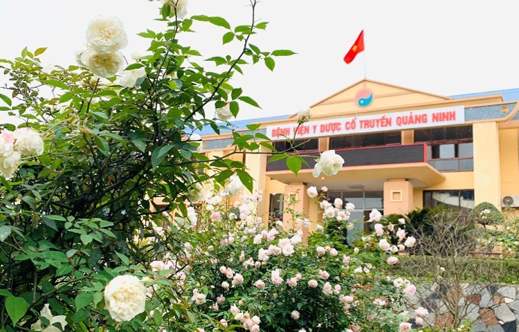 Quảng Ninh: Bệnh viện hiện đại, khuôn viên thoáng đãng 