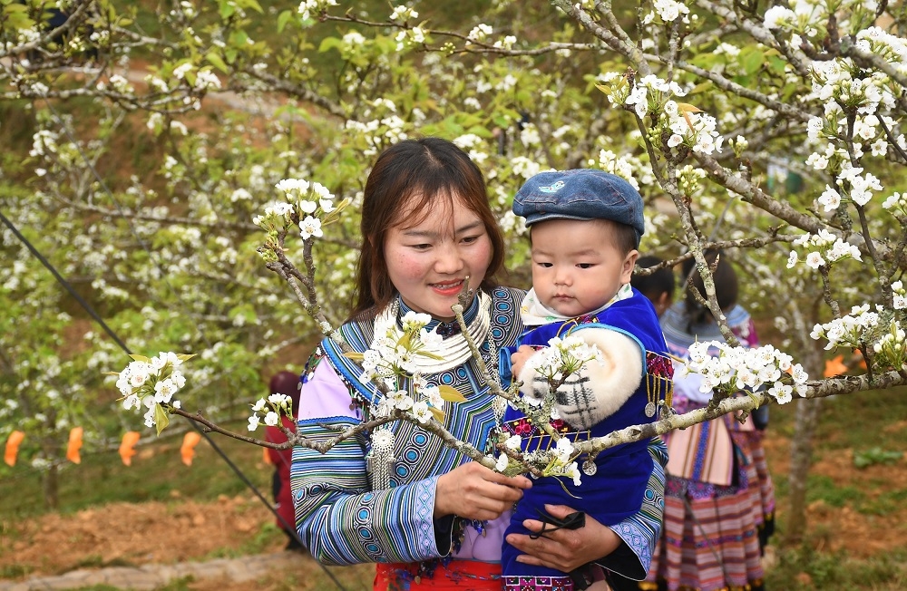 hoa le no trang o si ma cai dep den nao long nguoi