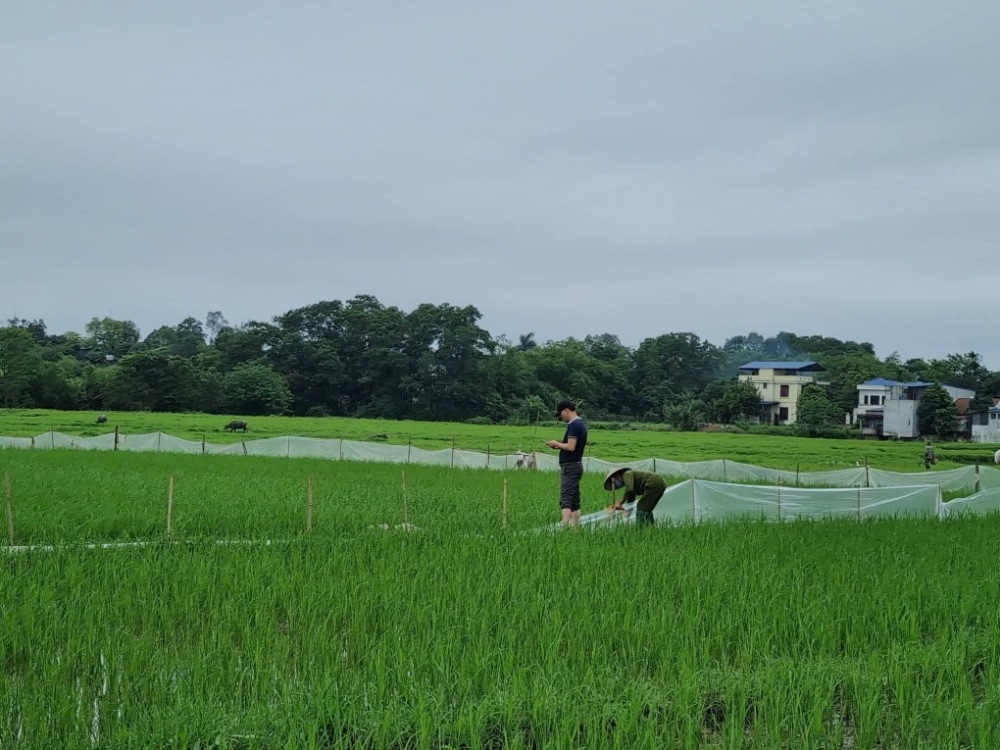 Thái Nguyên: Chấn chỉnh công tác chuyển mục đích sử dụng đất nông nghiệp sang đất ở