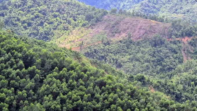 hoa binh buong long quan ly cap dat trong rung cho doanh nghiep chong lan dat o cua nguoi dan