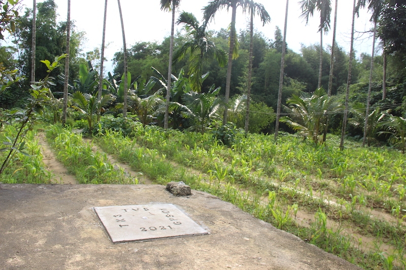 quang ngai phe duyet du an dau tu xay dung cau tra khuc 3