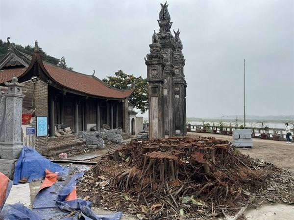 ha noi kiem tra viec tu bo di tich quoc gia dac biet dinh chem