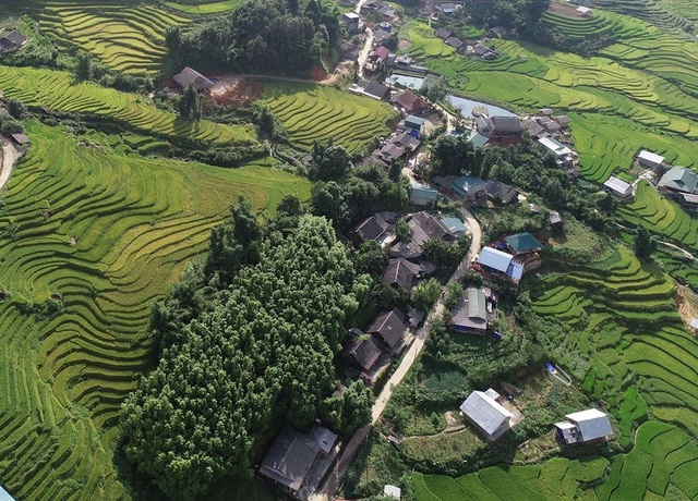 nhung ban lang vung cao dep nhu tranh ve