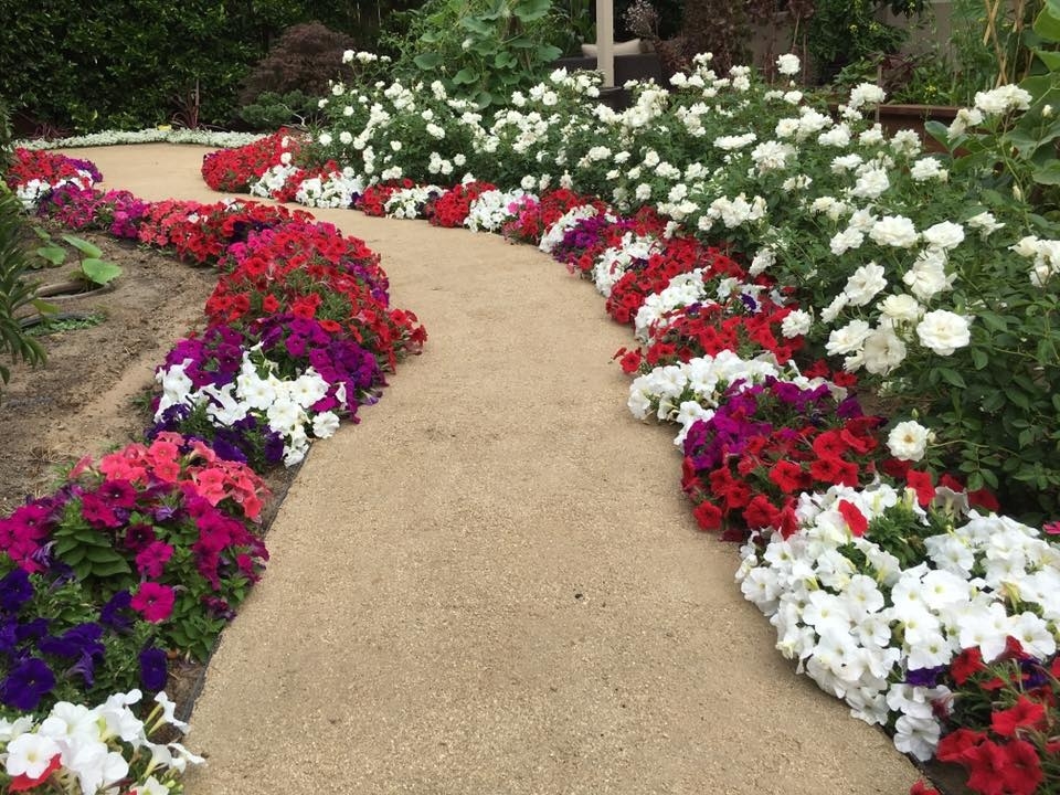 Cách trang trí sân vườn bằng hoa đẹp rực rỡ