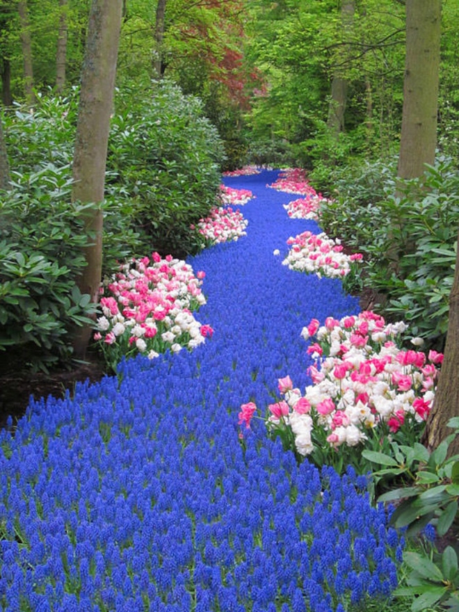 Cách trang trí sân vườn bằng hoa đẹp rực rỡ