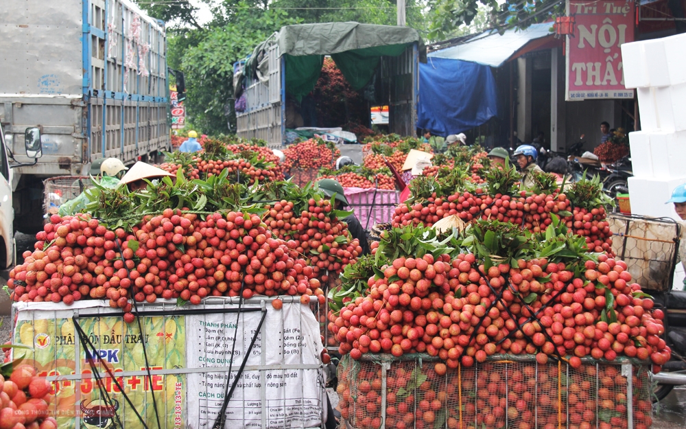 Bắc Giang đề nghị Chính phủ hỗ trợ tiêu thụ nông sản