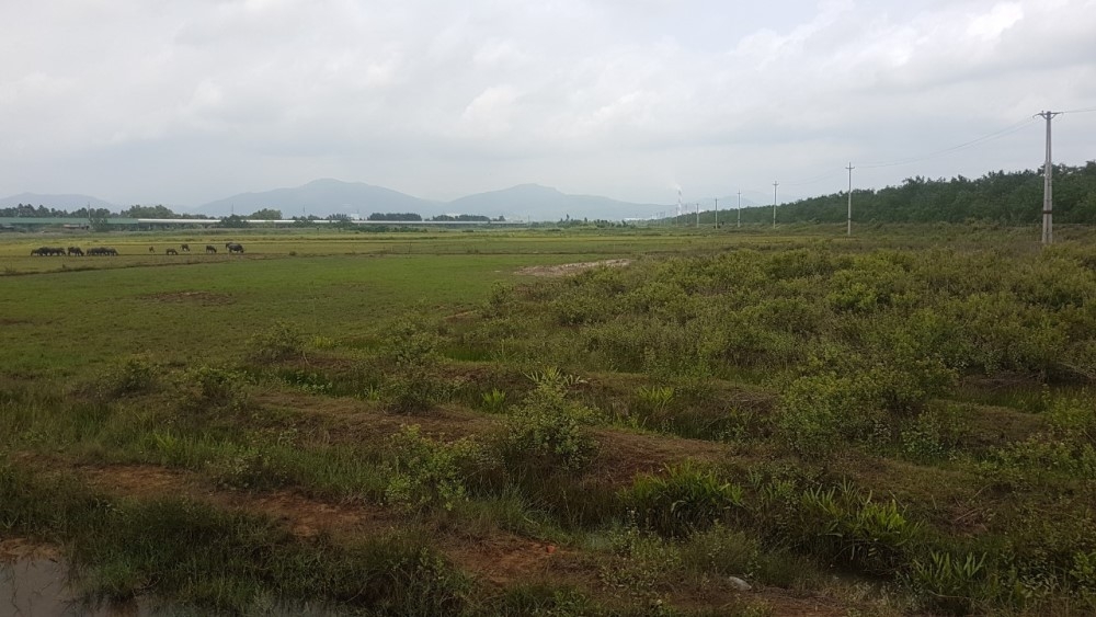 Uông Bí (Quảng Ninh): Tin chính thức về việc tranh chấp đất dự án khu nuôi trồng thủy sản công nghệ cao
