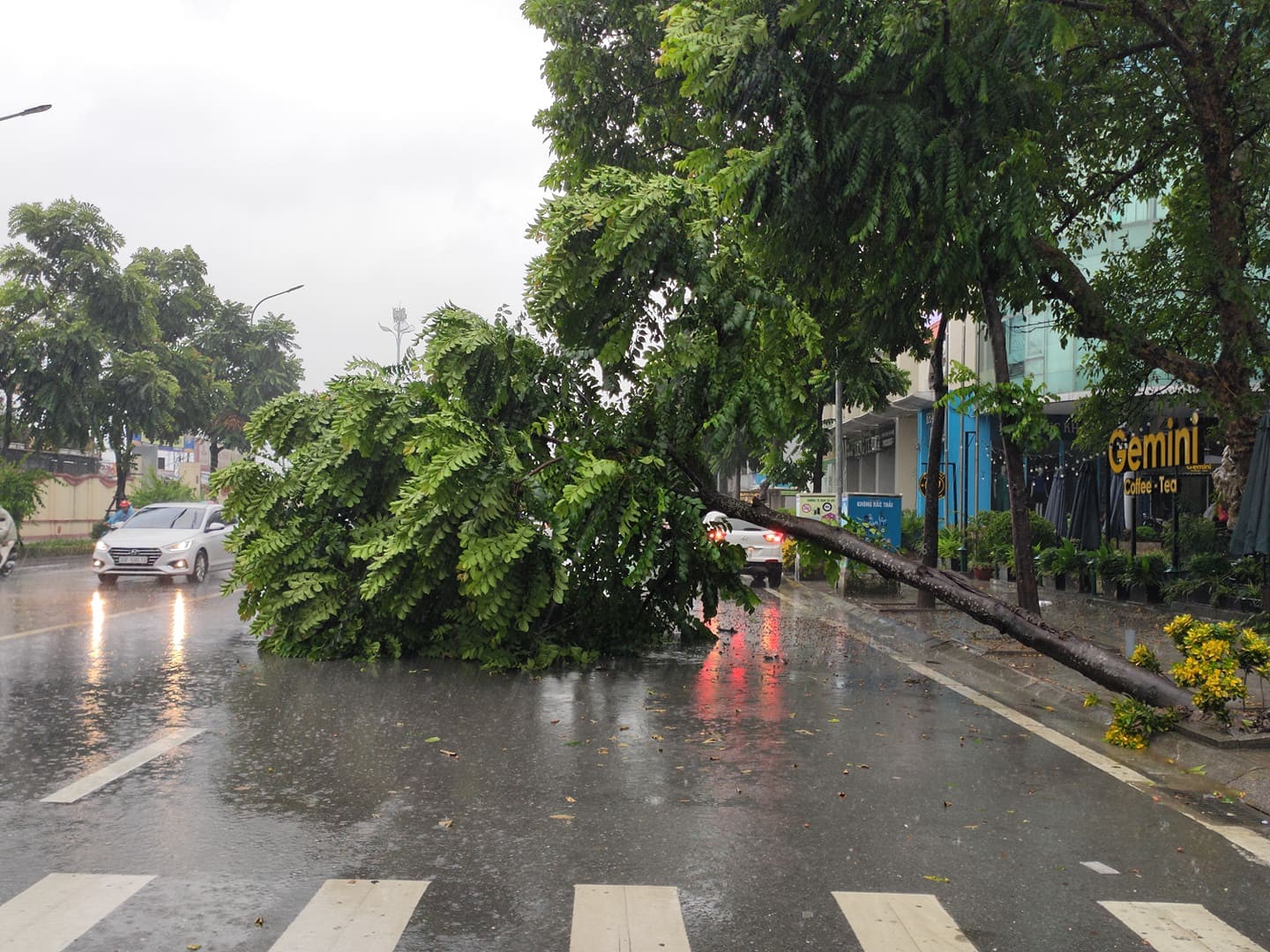 Hà Nội: Rà soát các công trình, nhà ở không bảo đảm an toàn trong mùa mưa bão