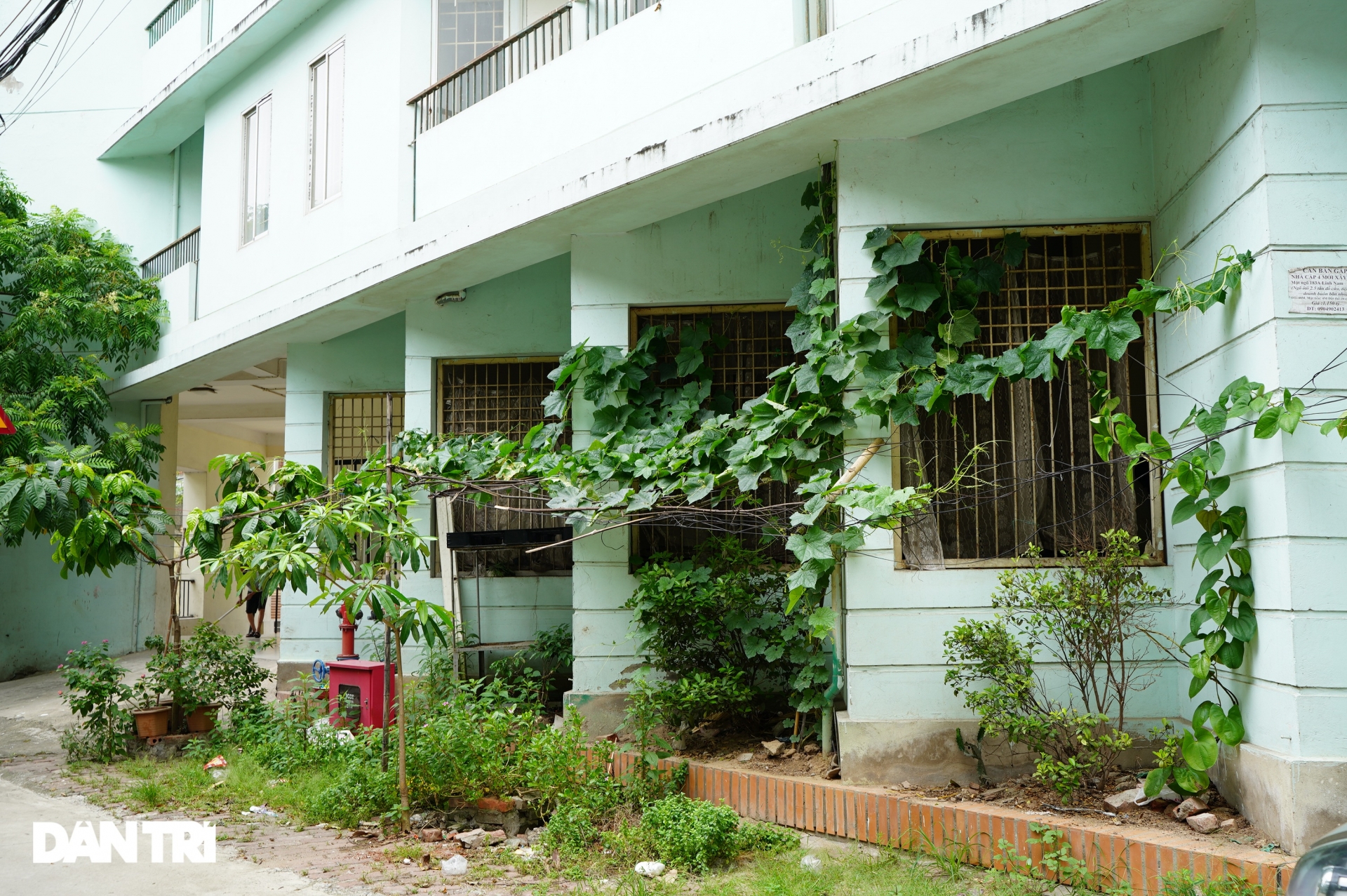 xot xa hang loat khu chung cu cao tang o ha noi bi bo hoang nhieu nam