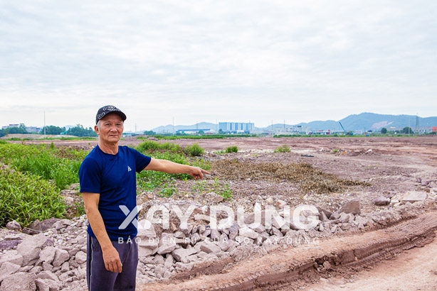 Bắc Giang: Xử phạt doanh nghiệp tự ý lấp đất ruộng của dân
