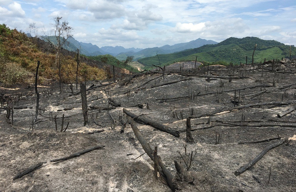 Bố Trạch (Quảng Bình): Chủ rừng có làm ngơ để rừng bị đốt?