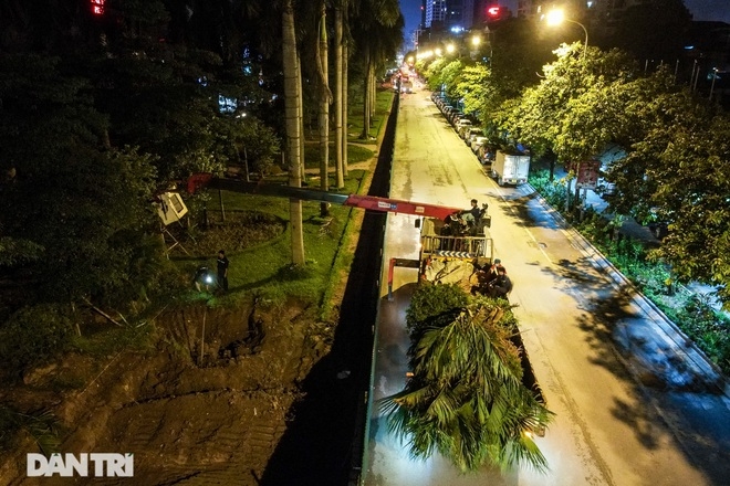 xuyen dem danh chuyen hang cay xanh tren tuyen duong dep nhat ha noi