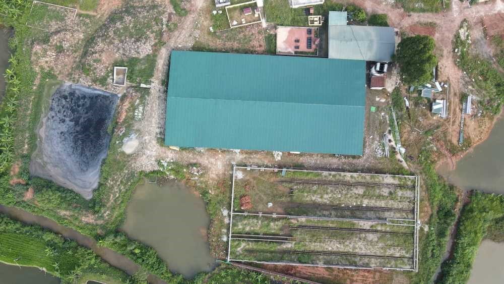 Lâm Thao (Phú Thọ): Xây dựng trang trại trái phép quy mô lớn, trách nhiệm thuộc về ai?