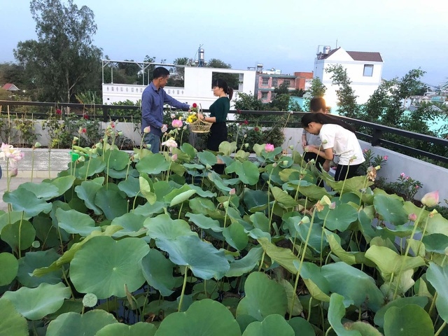 an tuong voi nhung trang trai nuoi ca tha ga trong rau tren san thuong