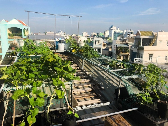 an tuong voi nhung trang trai nuoi ca tha ga trong rau tren san thuong