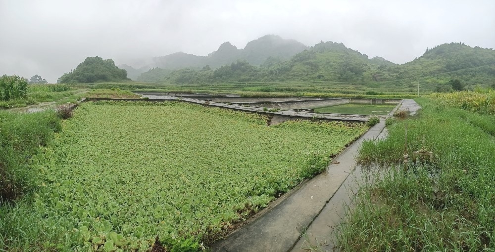 Hà Giang: Dự án vốn ODA cấp thoát nước hàng chục tỷ đồng bị bỏ hoang nhiều năm