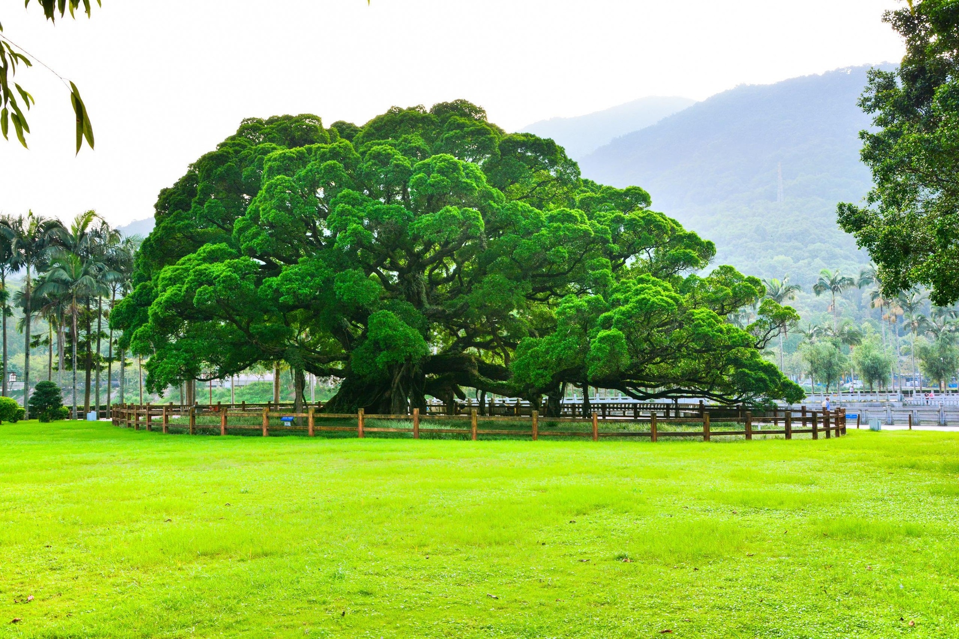 phuc chau vien ngoc phuong nam cua trung quoc