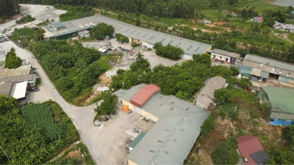 Phú Thọ: Nhà nước thất thu hàng chục tỷ đồng từ dự án chế biến gỗ xuất khẩu